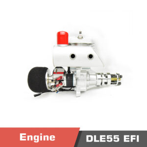 DLE 55 EFI Engine