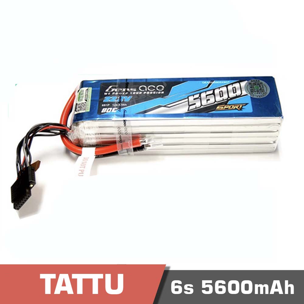 6s 5600 sport - battery lipo 6s 5600mah 80c tattu ace (hv) g-tech - motionew - 2