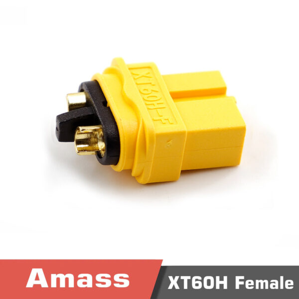 Xt60h femalez - amass xt60h - motionew - 28